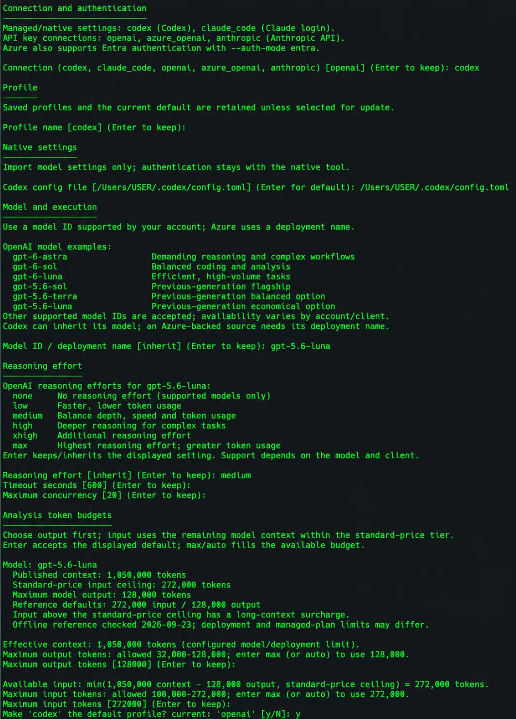 vraptor AI setup wizard using Codex configuration with model, reasoning, concurrency and token budget settings